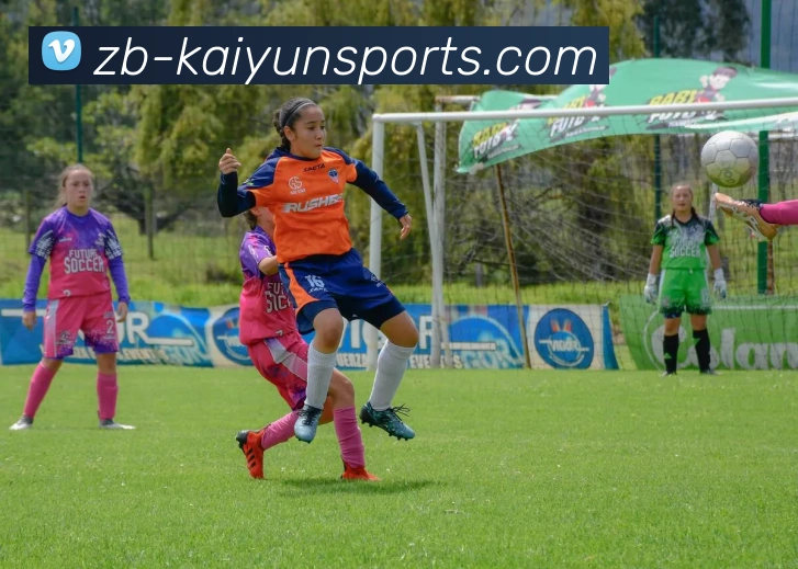 体育下注平台生态图